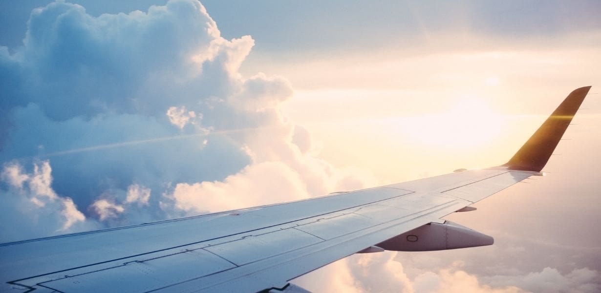 plane  tsa guide