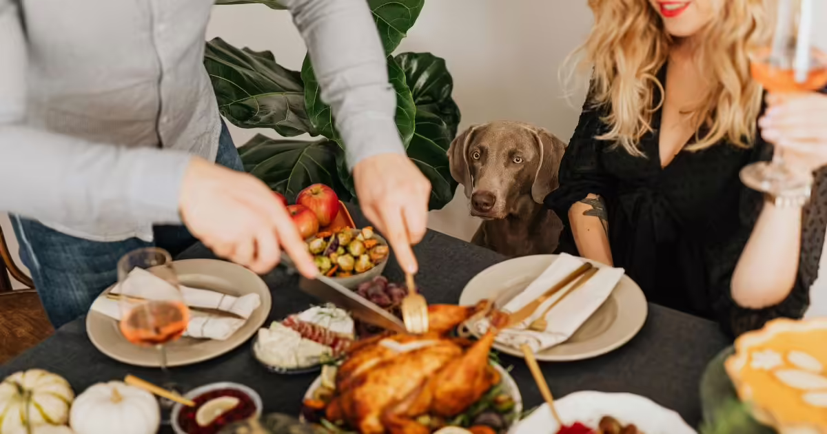 stress free thanksgiving travel jpg